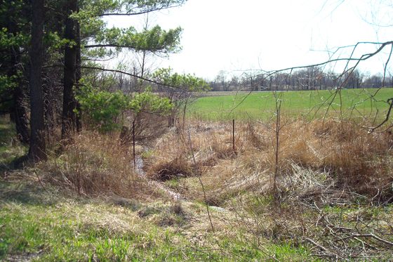 One leg of the creek