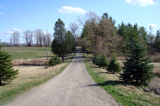 View up the driveway