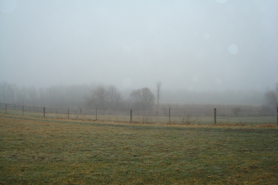 Morning mist across the fields