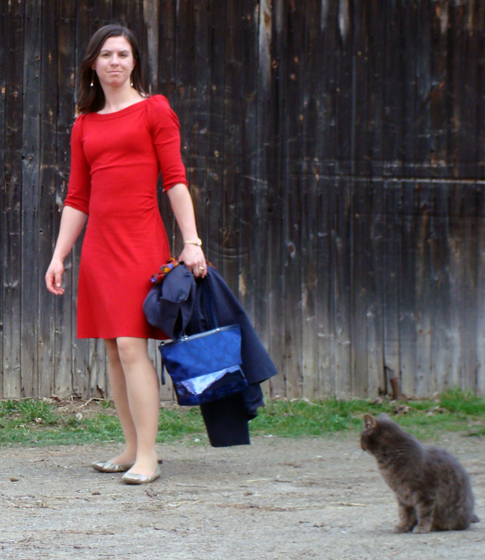 reddressandralph Not traditional farmer attire