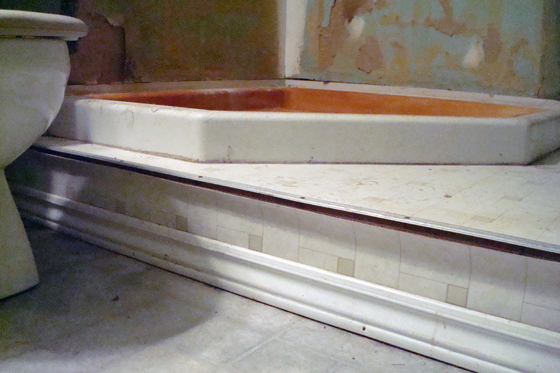 bathroom 001 Psycho shower on a platform