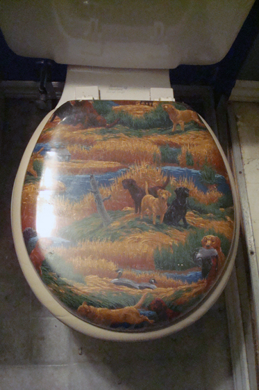 bathroom 002 Cushy toilet seat