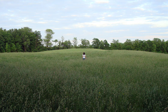 Walking in the hayfield