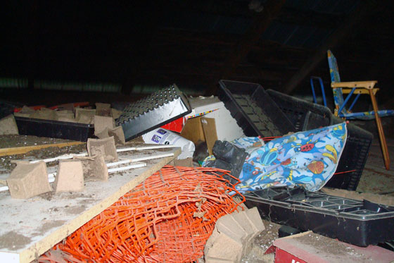 kittens1 Garbage on the drive shed loft