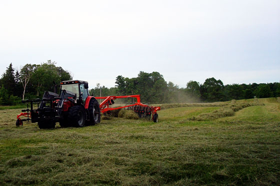 Mounding the hay