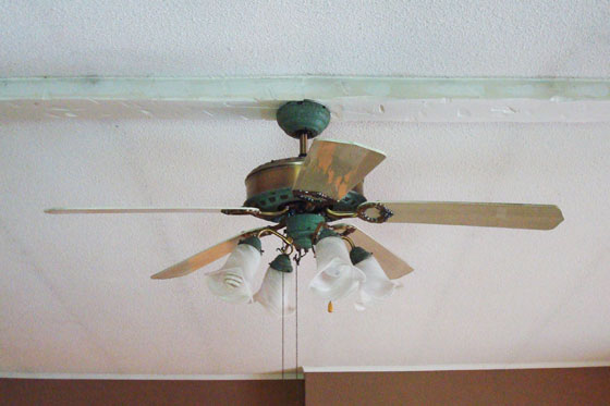 Green and faux wood ceiling fan
