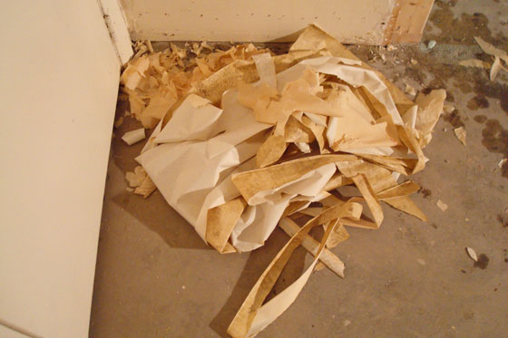 wallpaper10 How to remove wallpaper