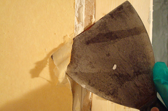 wallpaper6 Scraping wallpaper