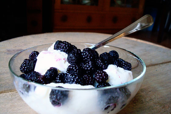 Black raspberries and vanilla ice cream