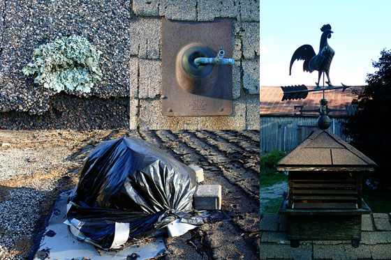 Collage of roof images