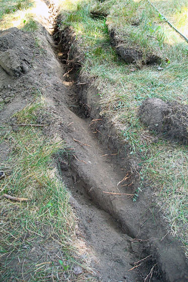 trench2 Large root in a trench