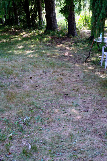 trench6 Back filled trench