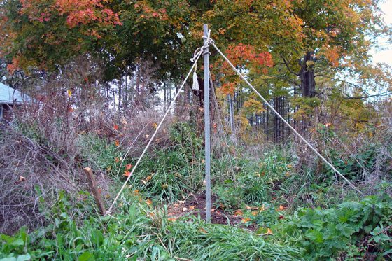 Flagpole braced with ropes