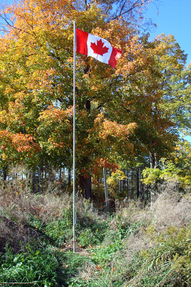 Canadian flag on a flag pole