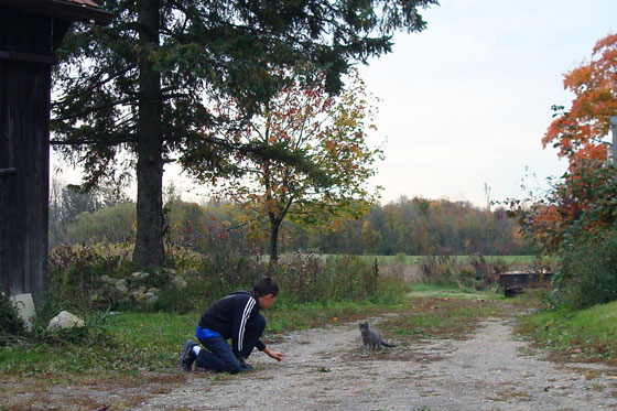 Playing with a kitten