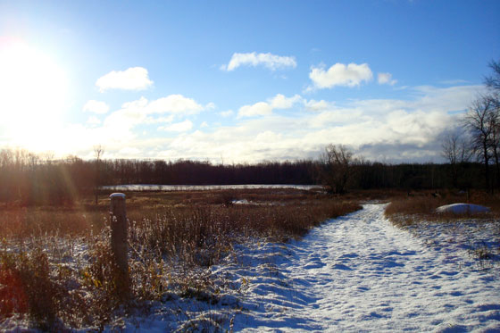 Snow covered lane through the field