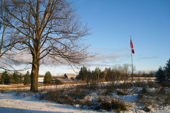 First snowfall on the farm