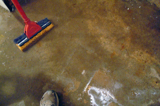 Mopping up a puddle of water