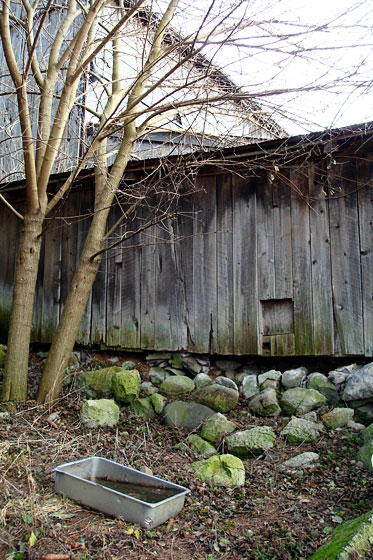 Abandoned chicken run