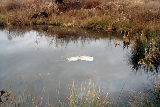 Meltin ice on a pond