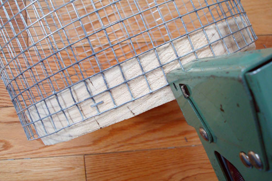 Stapling wire mesh to a wooden base