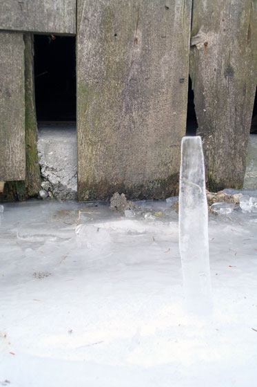 Broken icicle stuck in the snow