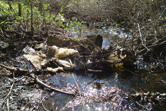Plastic garbage damming a creek