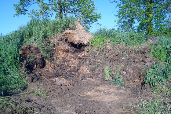 Manure pile