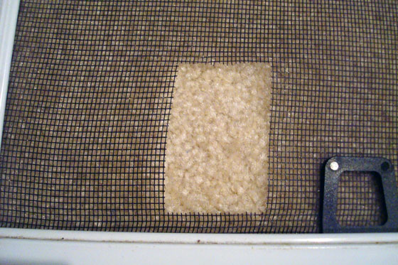 Square hole in a window screen