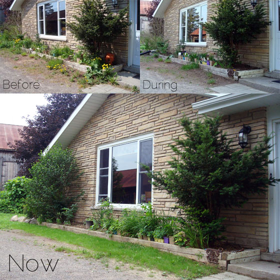 Evolution of the front garden