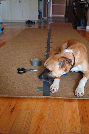 Seaming a rug with duct tape