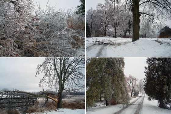 Ice storm collage