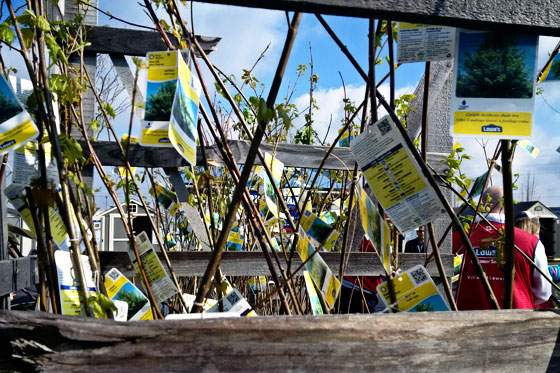 Lowes Project Replant