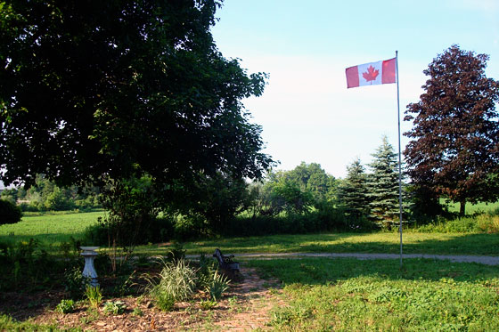 Canada flag flying over the farm