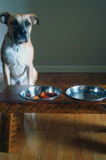 Dog food stand made of old barn wood