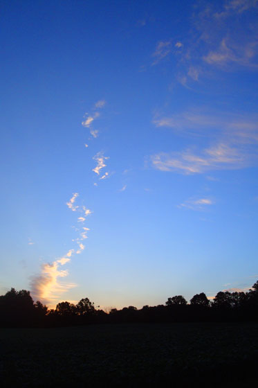 Summer sunrise at the farm