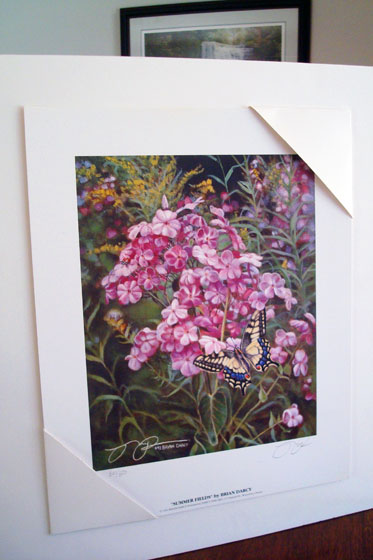 Summer fields by Brian Darcy