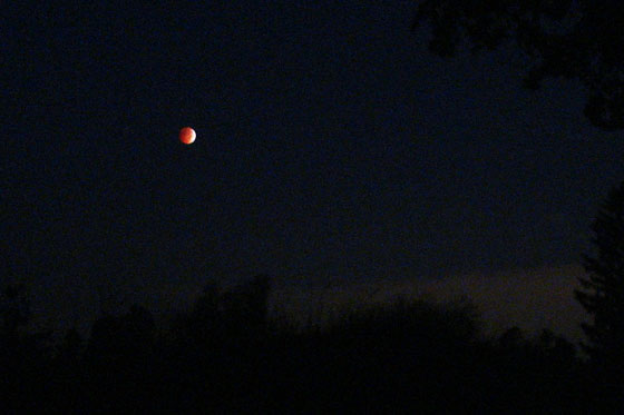 bloodmoon1b