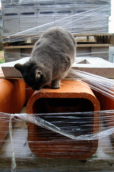 Ralph inspecting the chimney pieces for our new fireplace
