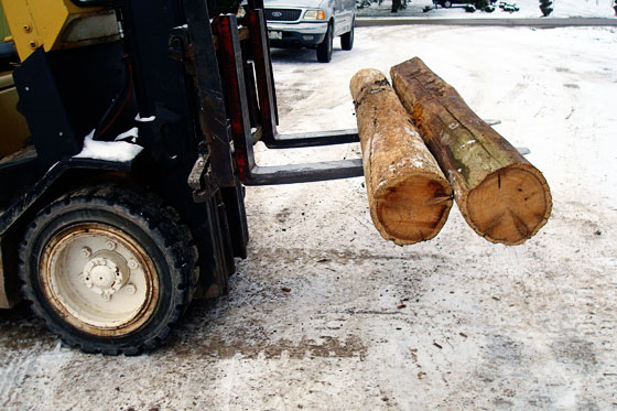 Barn beams on the forklift