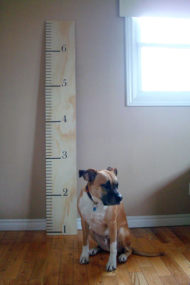 DIY kid's growth chart