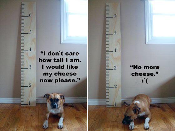 Baxter modelling with the growth chart