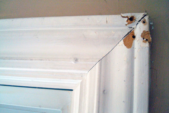 Molding with screw holes in it