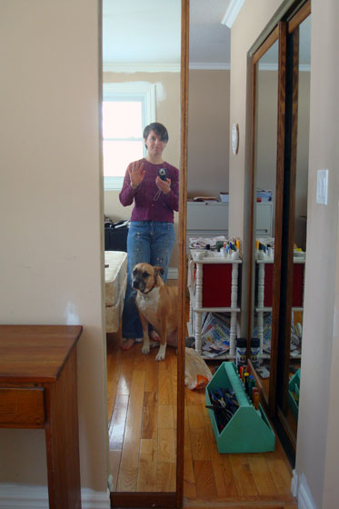 Mirrored pocket door