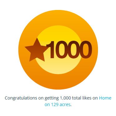 1,000th like