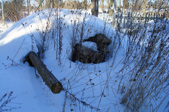 Wooden fenceposts under snow