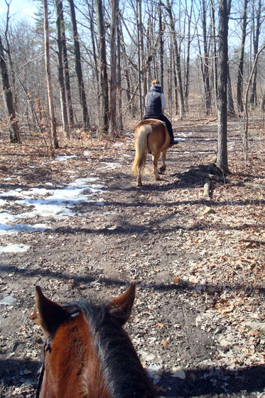 Trail ride on horseback