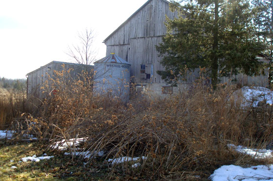 In the shade of the barn