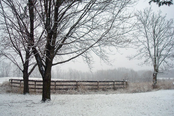 Snow on Easter Sunday