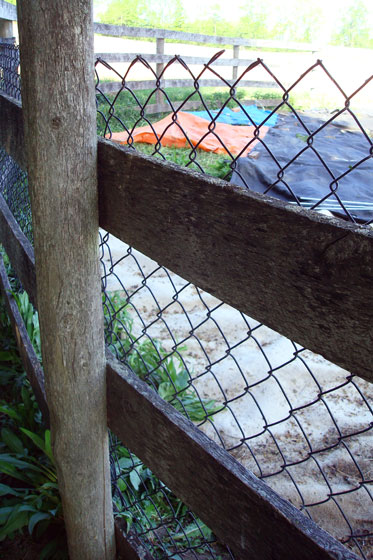 Chain link fenc stapled to a wood fence